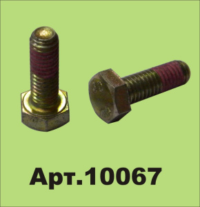 10067